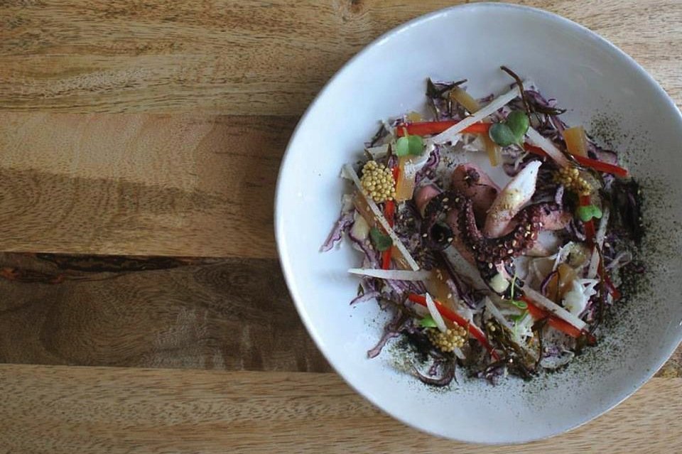 DOMA octopus.jpg