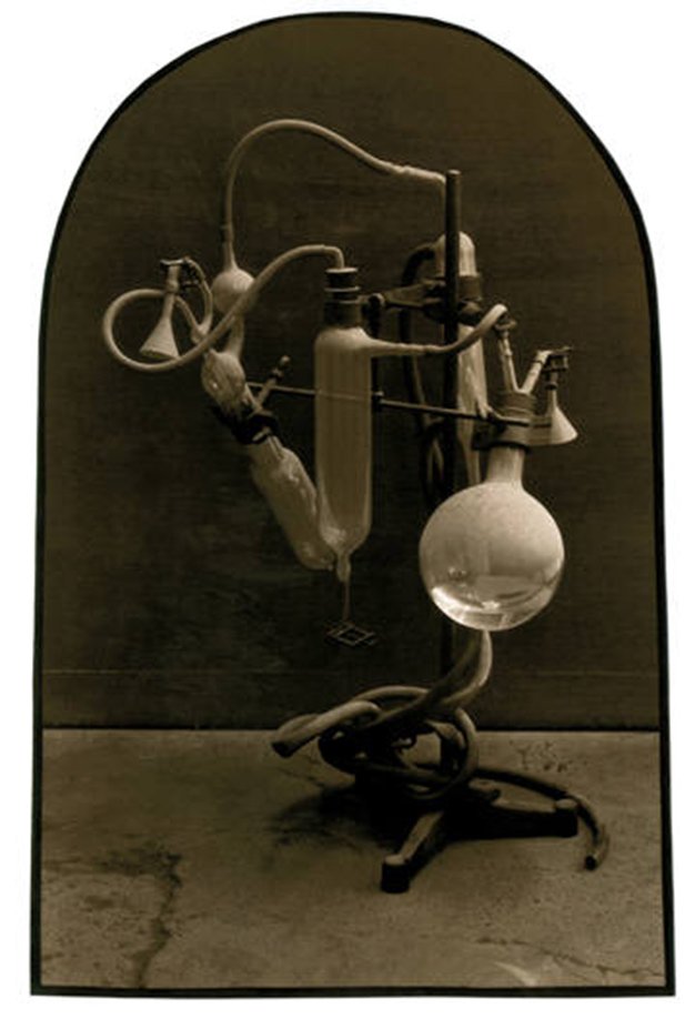 Chemical Instrument and The Elephant In The Shanghai Zoo NOW Magazine