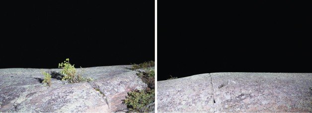 Untitled Photograph #3 and Untitled Photograph #1 Untitled Photograph #3 and Untitled Photograph #1