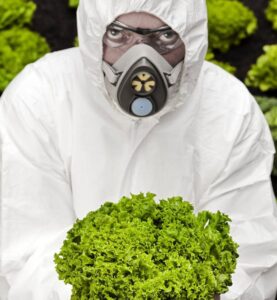 Gmos Human Geography The Shocking Truth - sarfta5