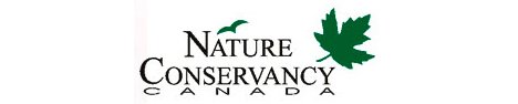 sellout_nature_468.jpg