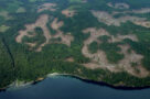 An aerial view of deforestation along Vancouver Island, BC