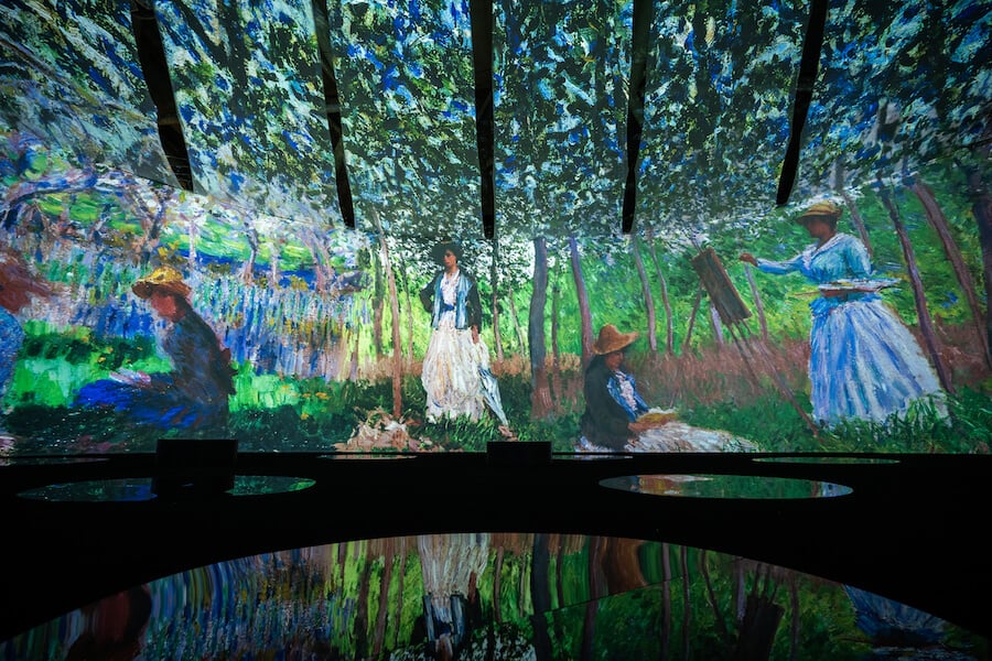 An image from the exhibition Beyond Monet