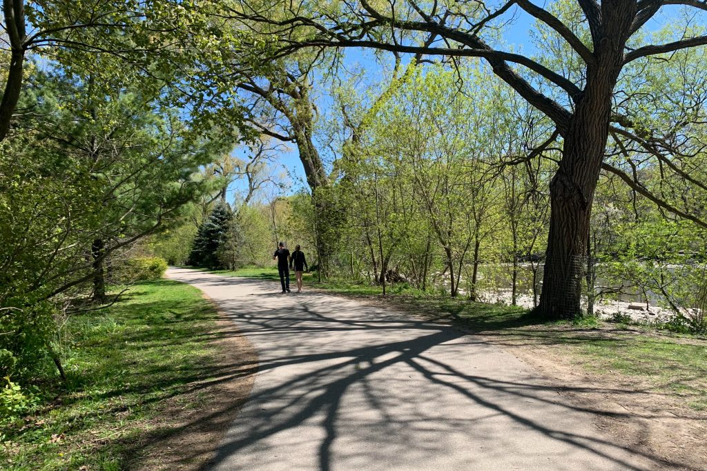 trees cities climate crisis