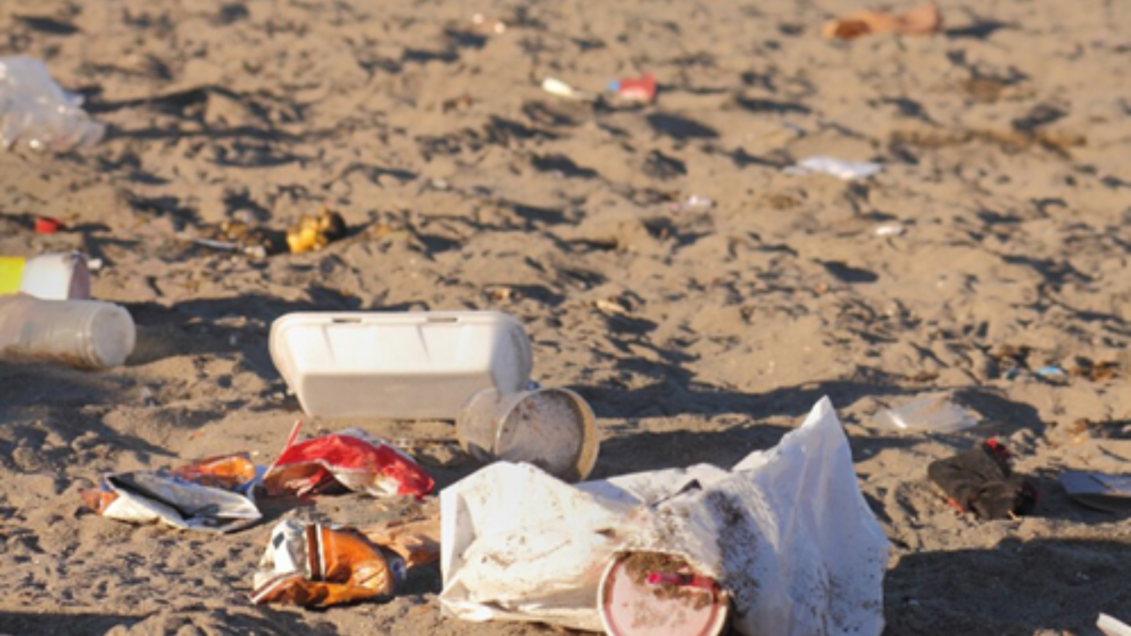 Toronto residents reminded to properly dispose their litter