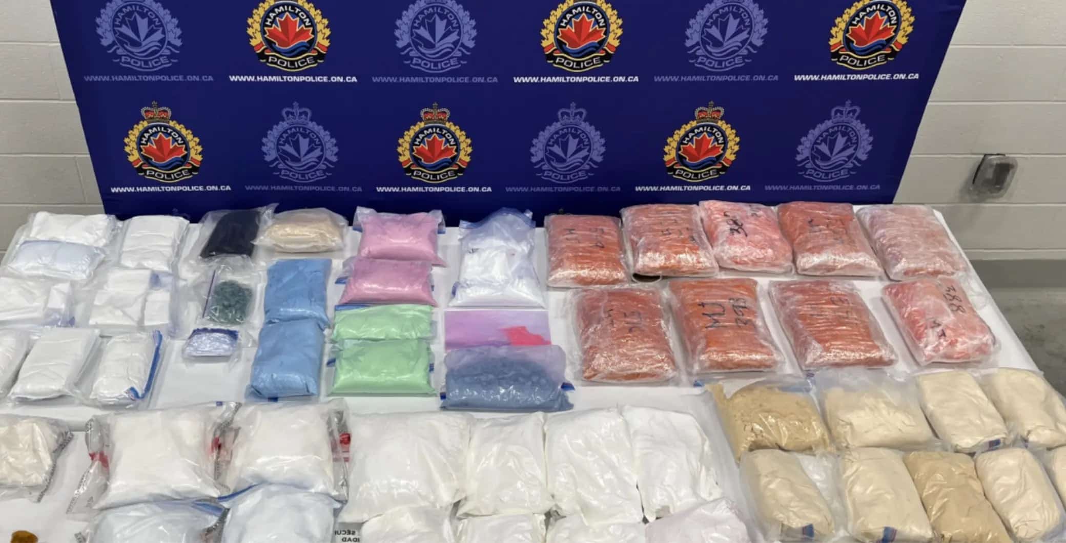 Toronto doctor among 12 charged in Hamilton drug bust