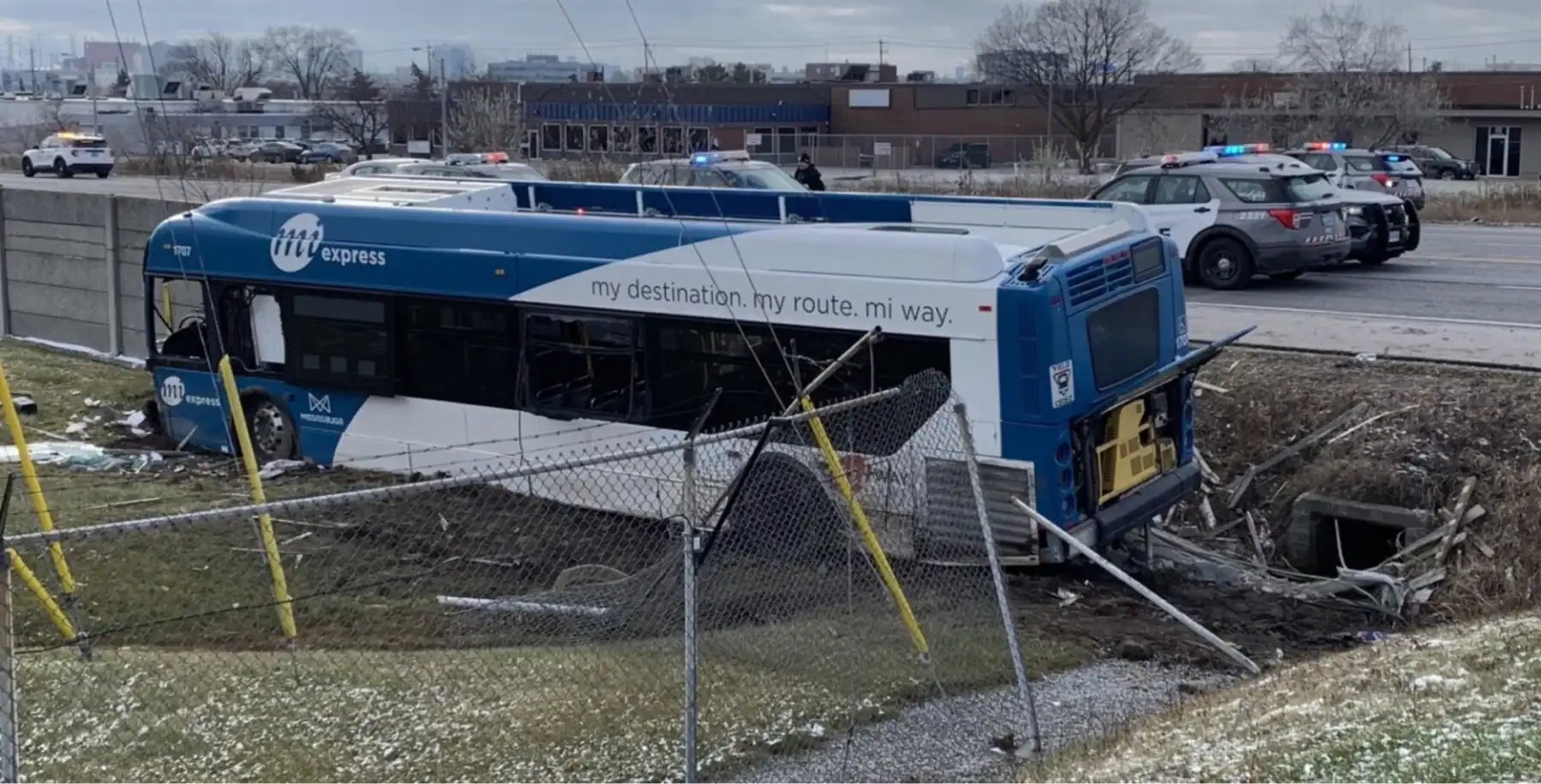 Toronto couples share the secret to longlasting love NOW Magazine