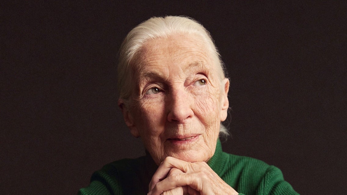 an-evening-with-jane-goodall.png