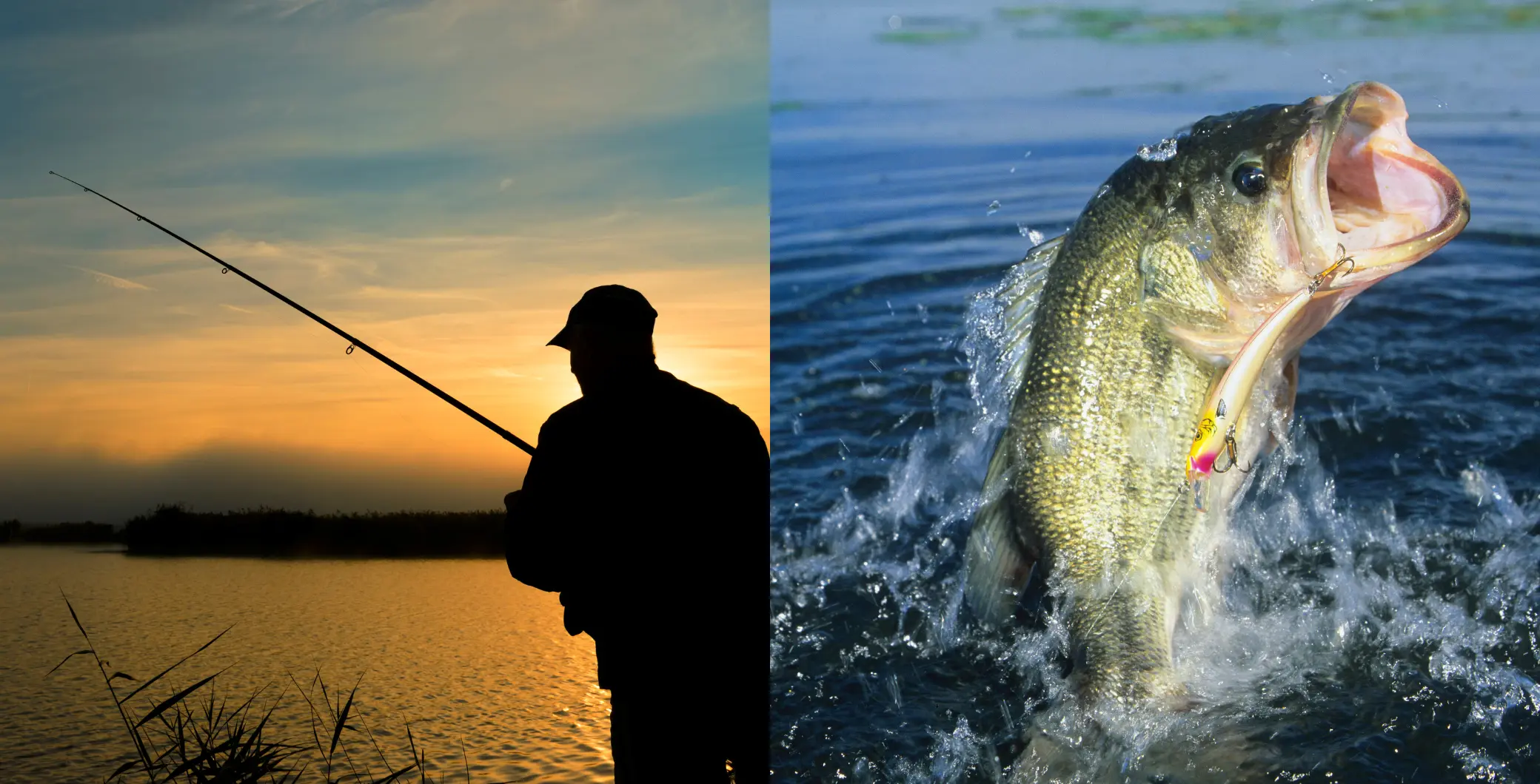 Toronto fishing