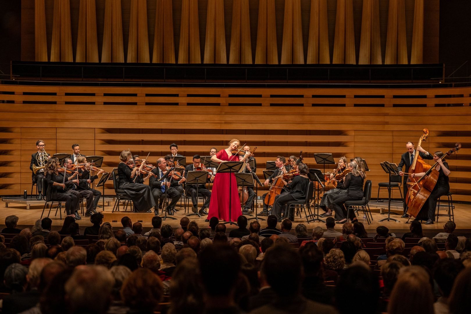 tafelmusik-presents-mozart-40-schubert-5-1.png