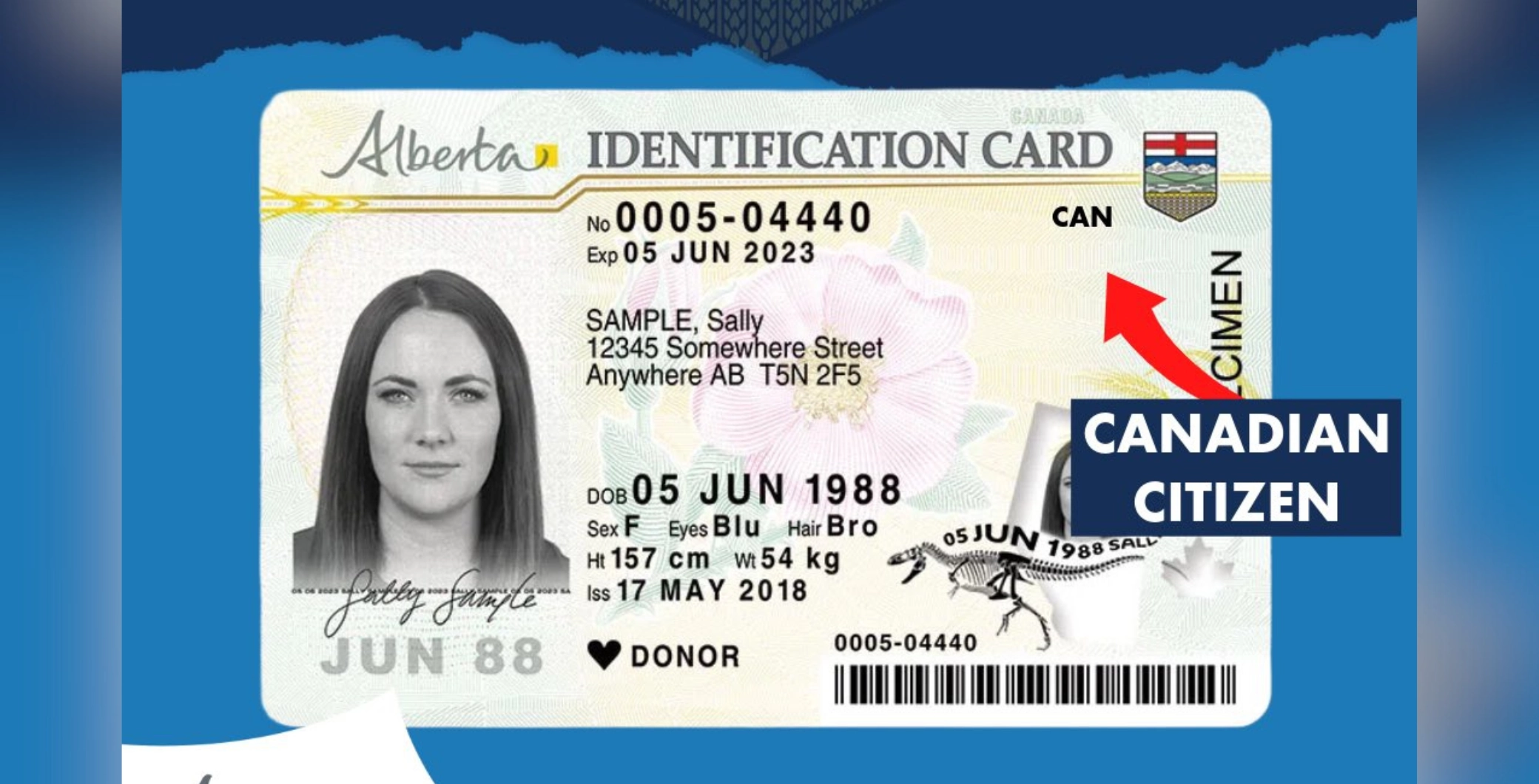 Alberta will soon have citizenship markers on its driver’s licences and other identification cards, but some experts are concerned...