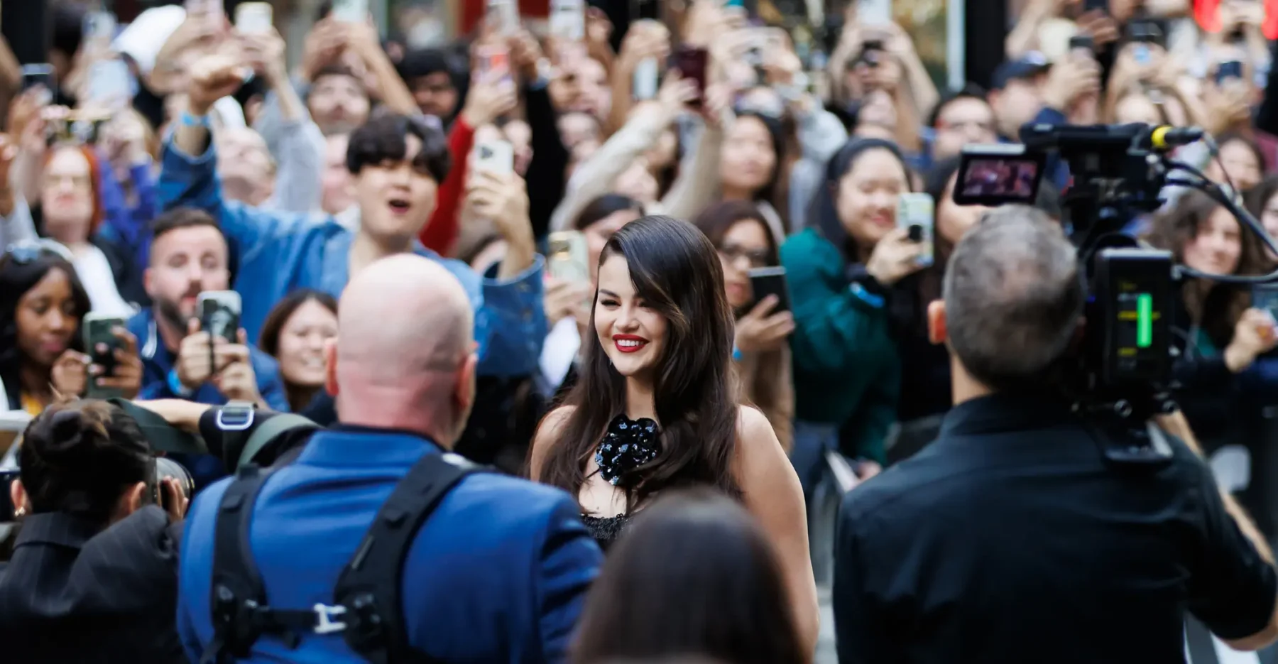 TIFF red carpets