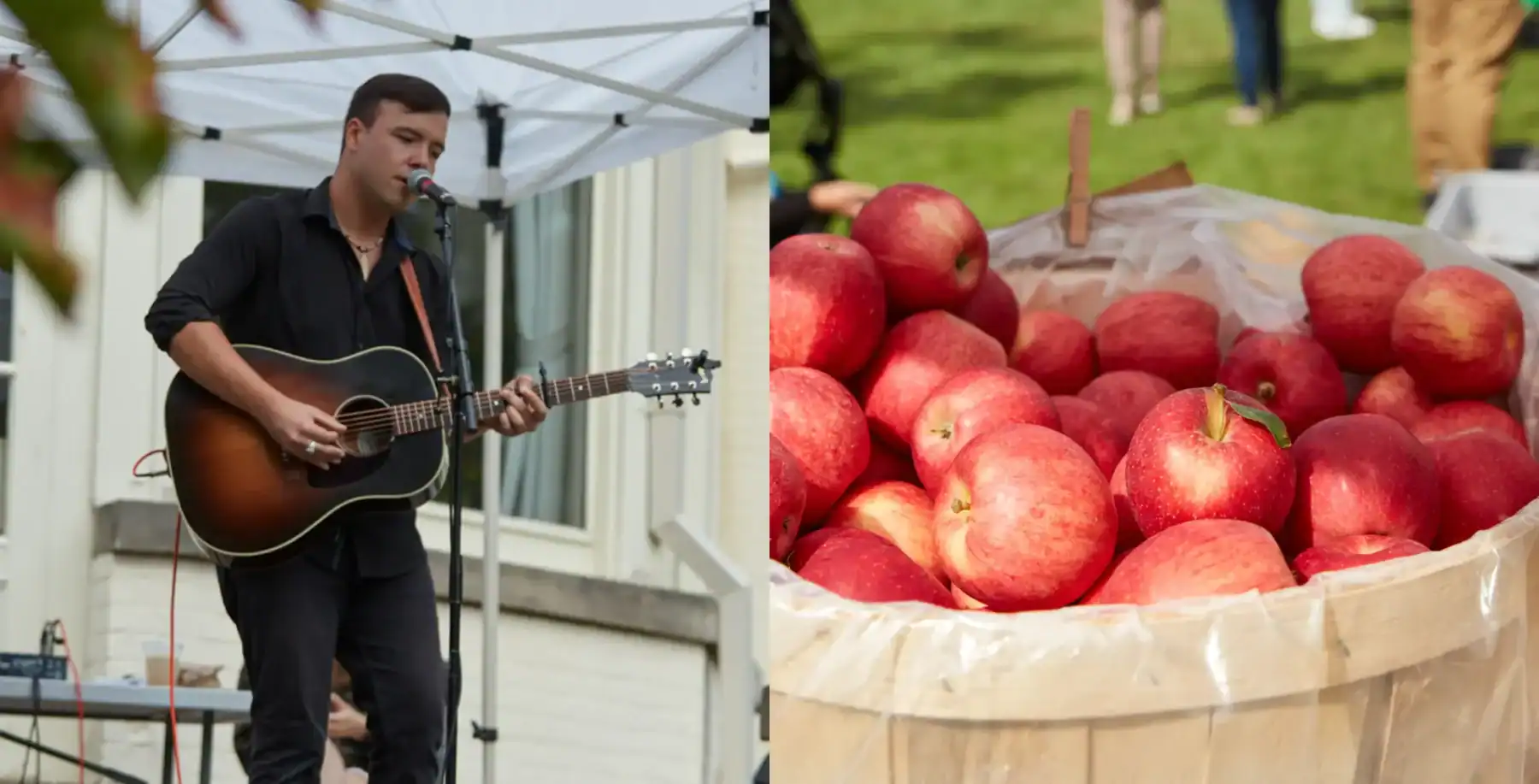Spadina Museum Fall Festival