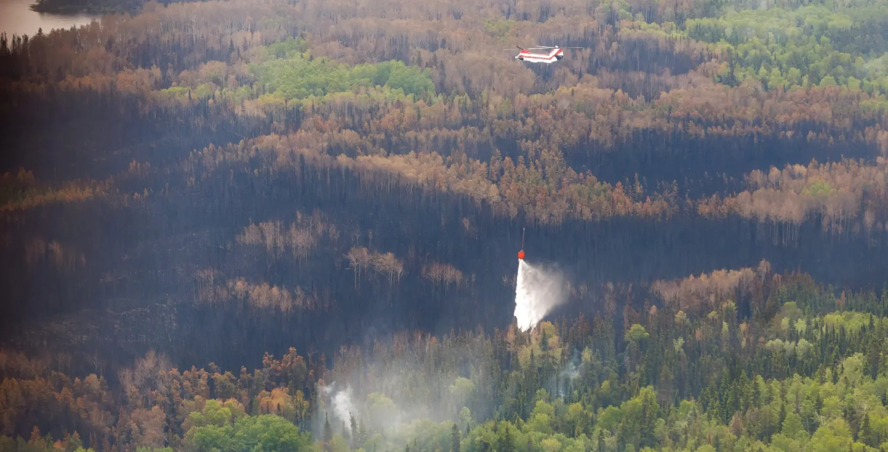 Wildfires