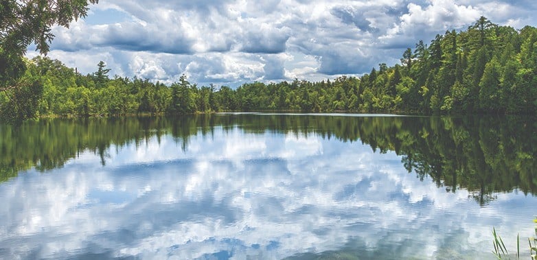 crawford-lake-layers-in-time-at-rom.png