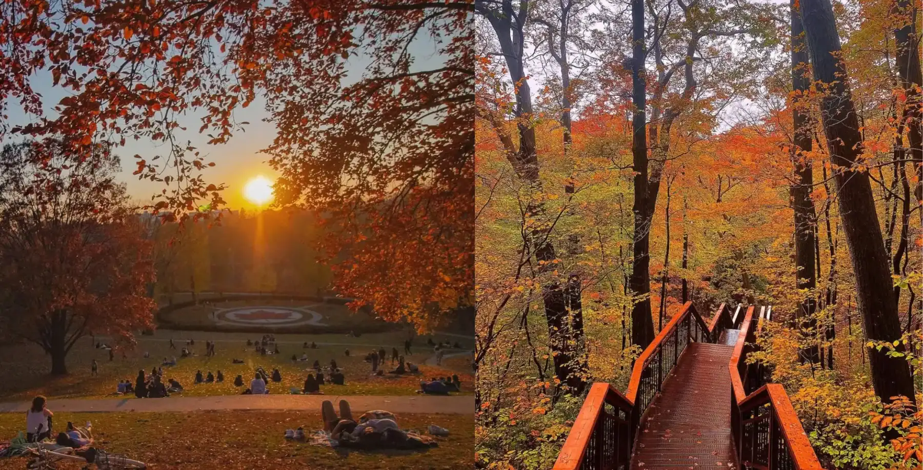 Fall views