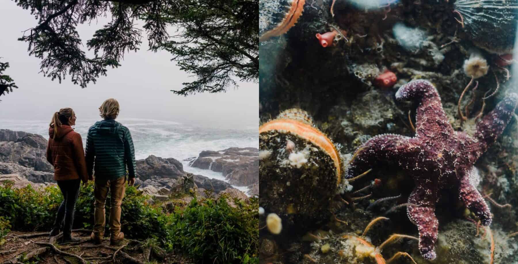 Tourism Ucluelet promotional images