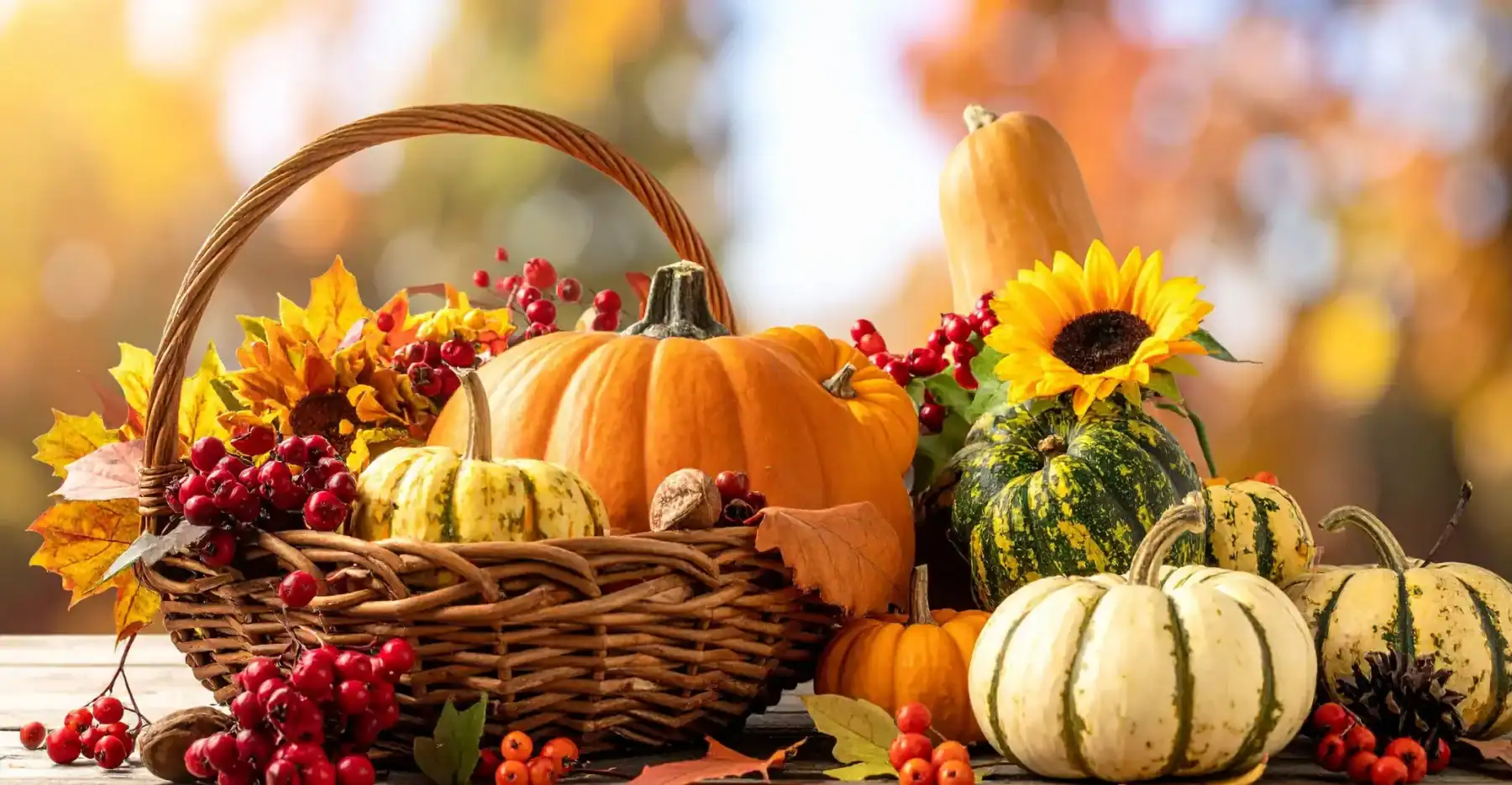 open/closed Thx giving