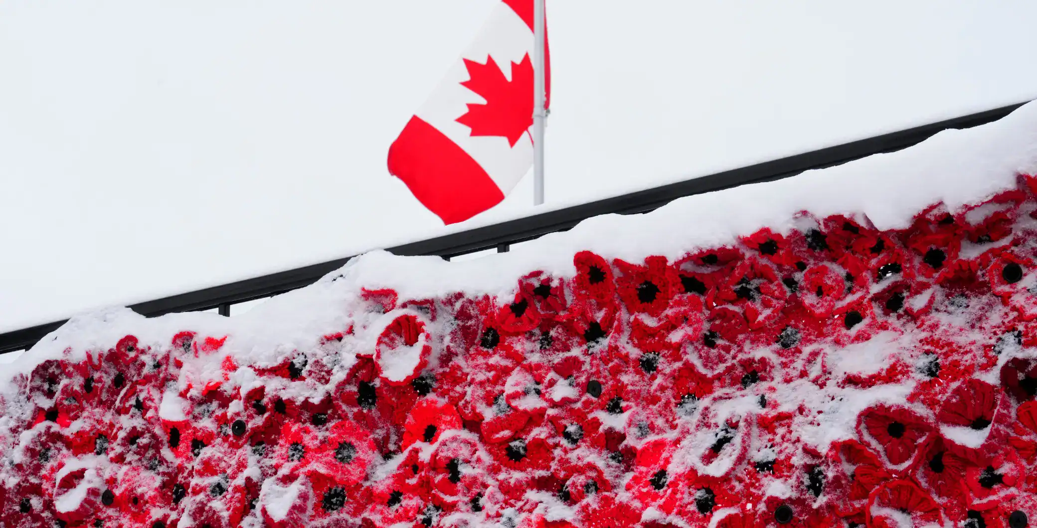 As Canadians pause to honour those who served on Remembrance Day, many Toronto businesses will adjust their hours on Nov. 11.