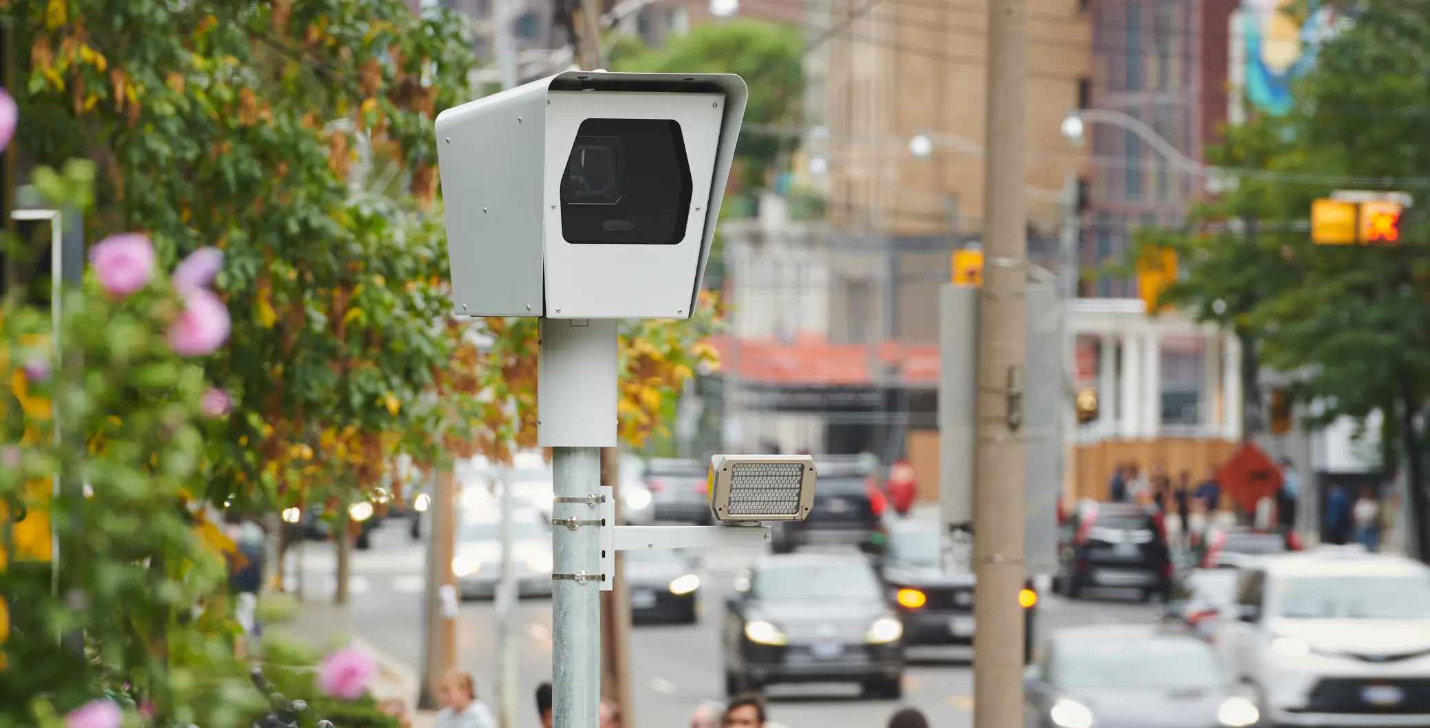 A group of Ontario advocates who have lost loved ones in car accidents are warning of the dangers of removing speed cameras.