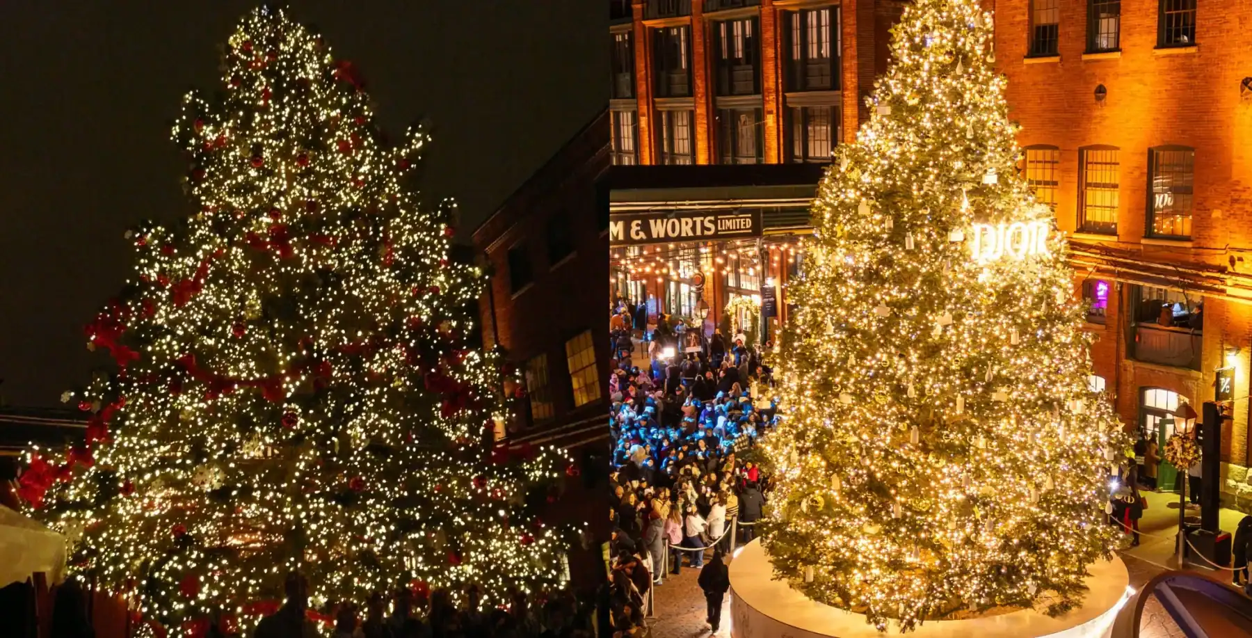 Large illuminated Christmas tree decorated with red ribbons and ornaments in a festive Toronto city square at night.