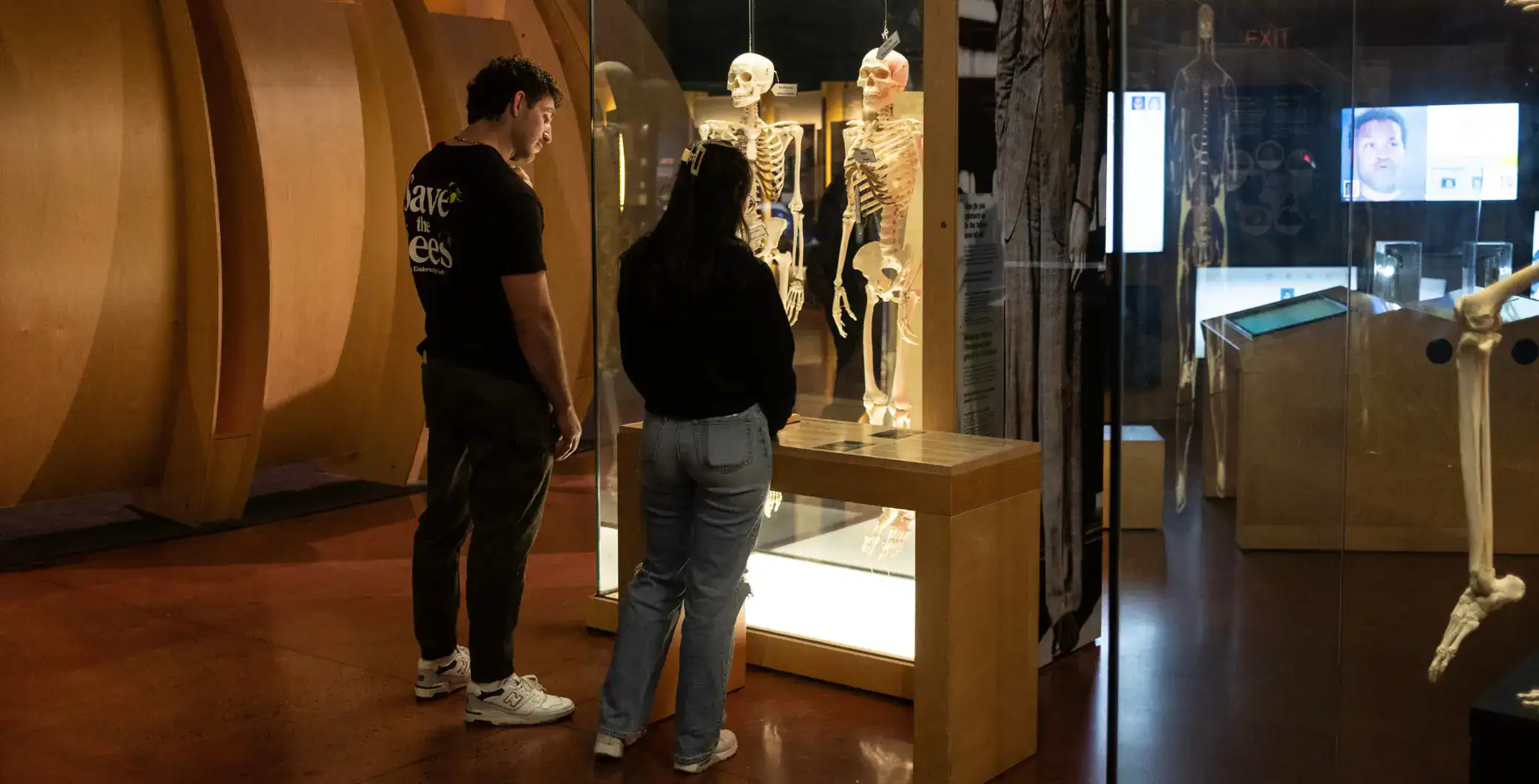 The Ontario Science Centre is preparing to reopen in a new temporary home at Harbourfront Centre by next summer, after its abrupt closure in June 2024.