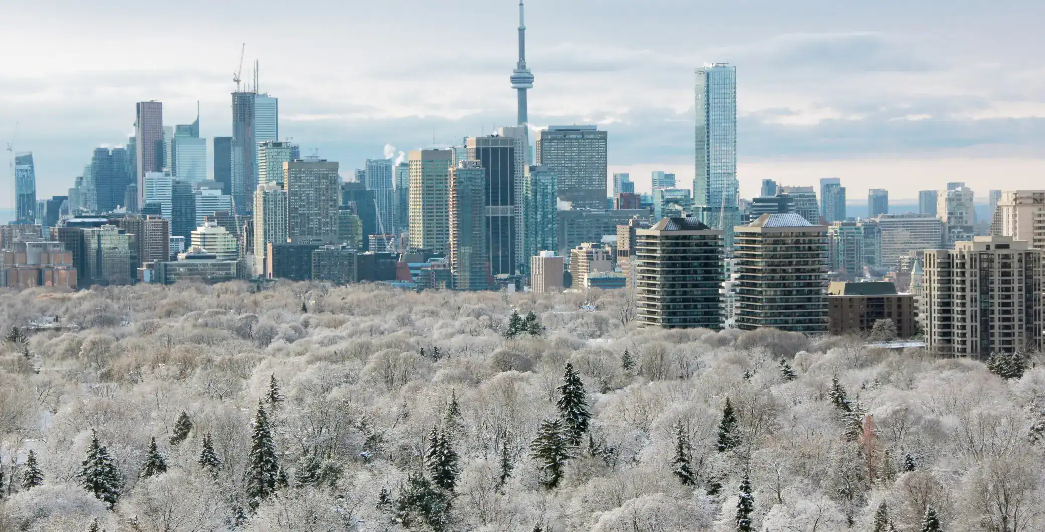 Temperatures are sliding downward as Toronto enters the first week of December.