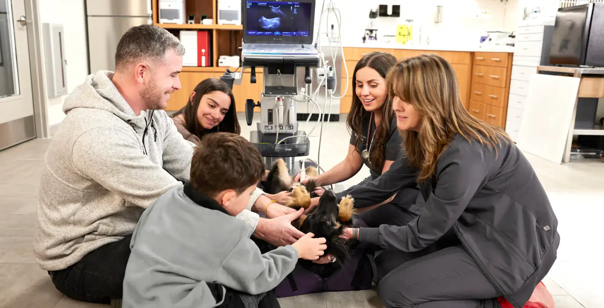 New Toronto animal hospital lets owners stay with their pets during surgery