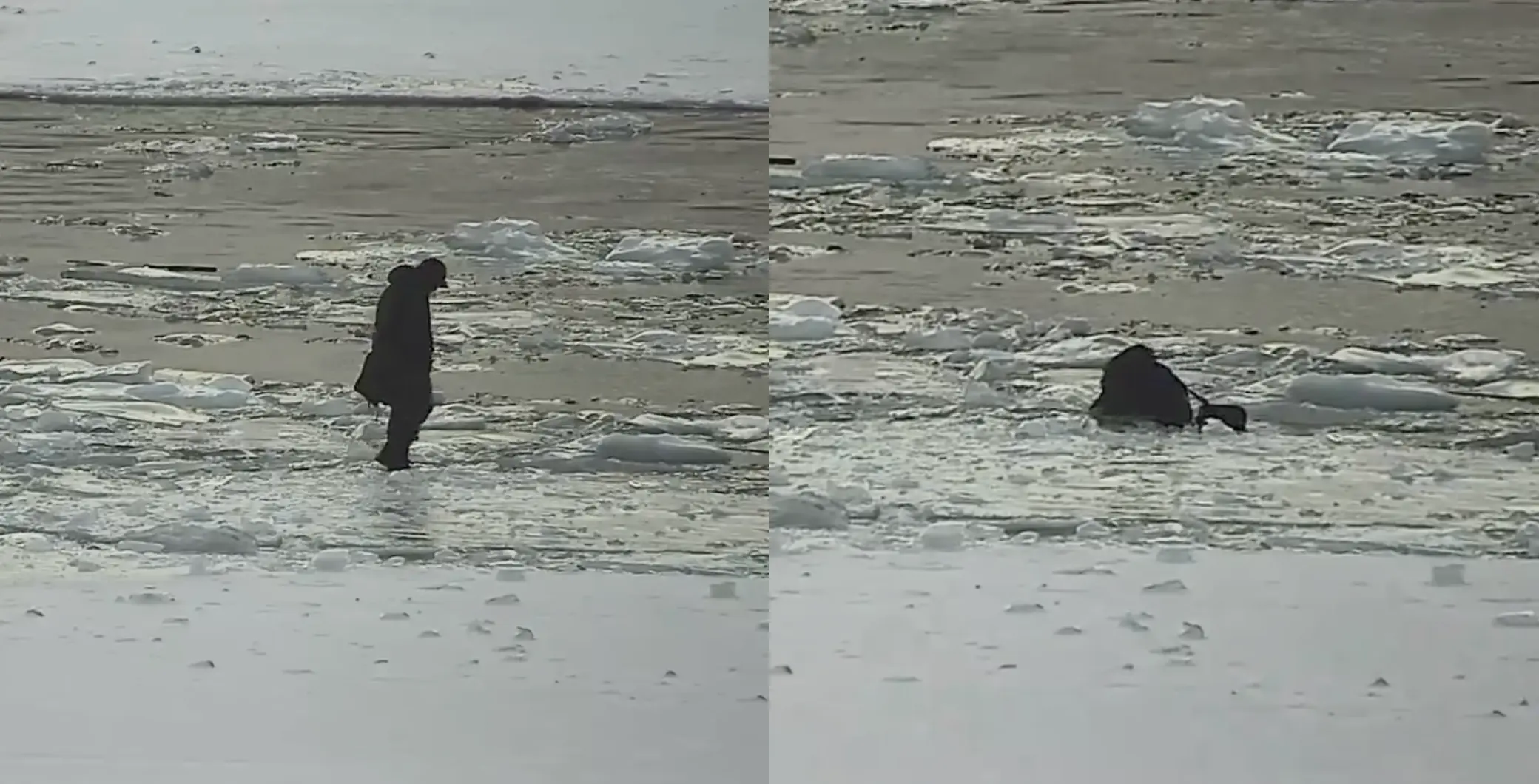 ‘No ice is safe ice,’ Toronto police is urging residents to stay off Lake Ontario after shocking video shows man falling through ice