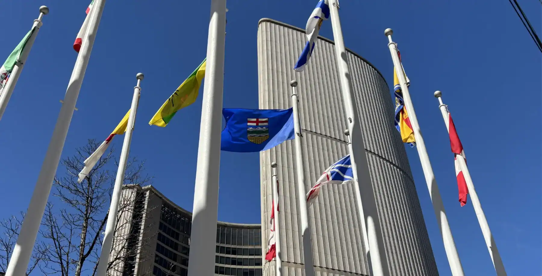 Toronto flags