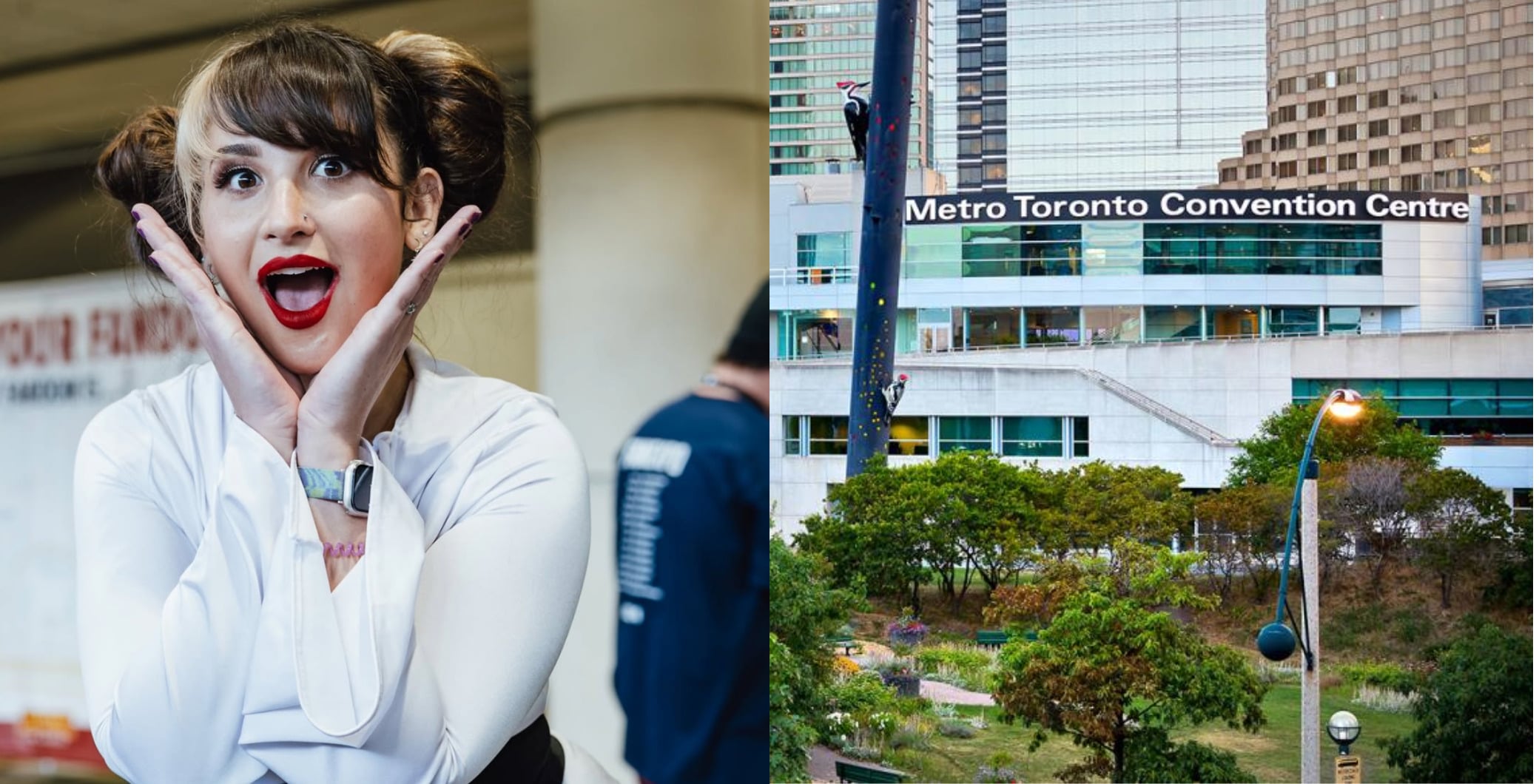 Comicon 2026 returns at the Metro Toronto Convention Centre