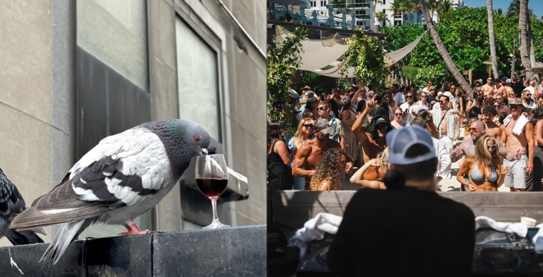 Events happening this weekend in Toronto: May 29-31