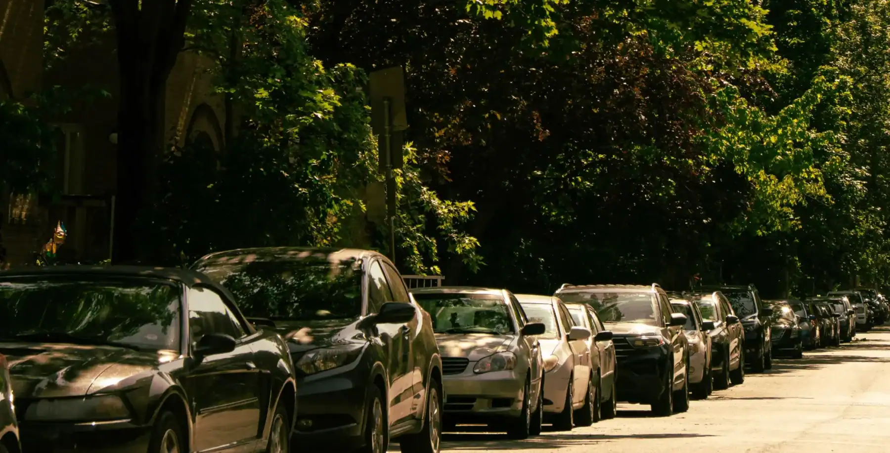 Line of parked cars along a tree-lined street in Toronto, highlighting urban parking issues.