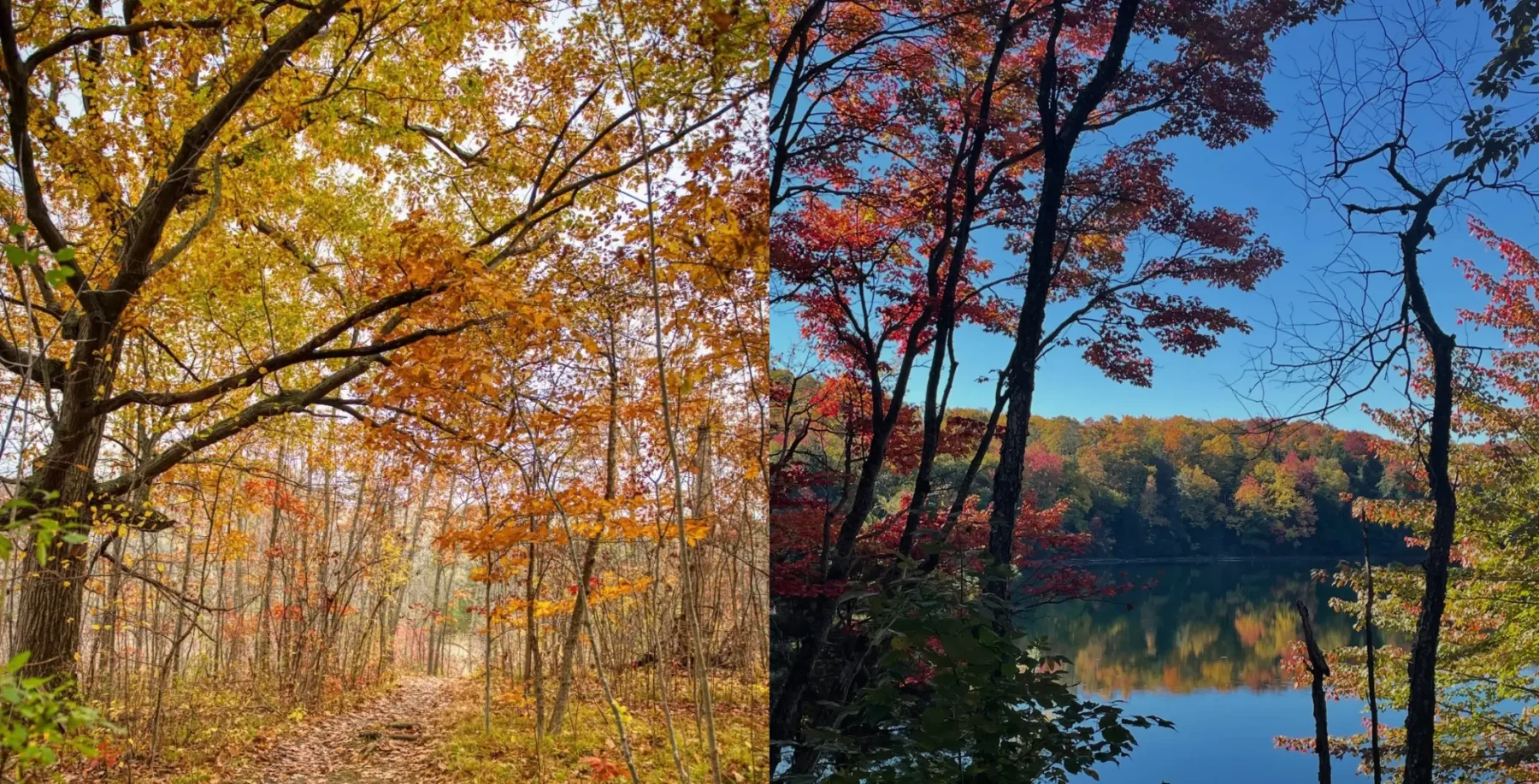 Fall parks
