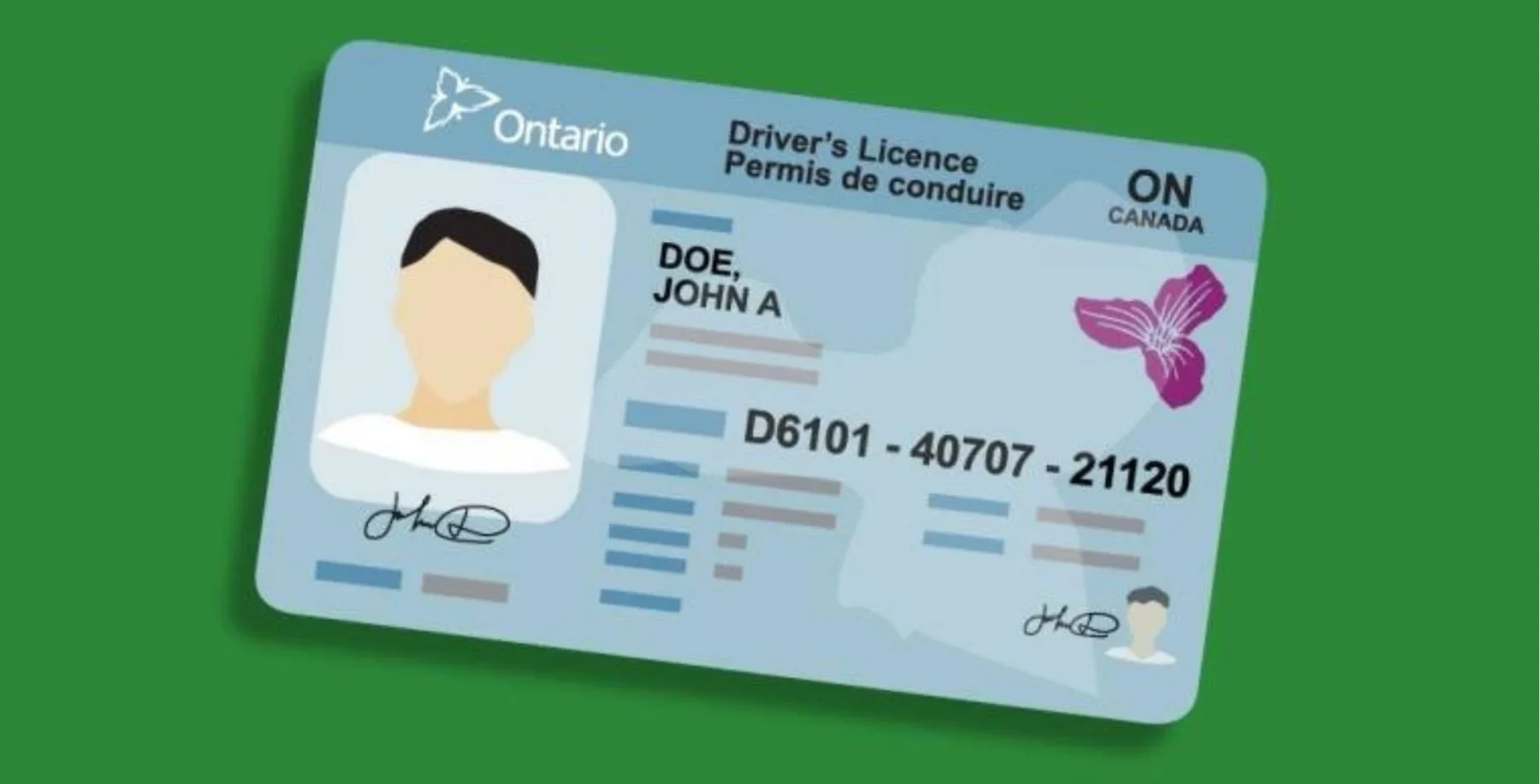 Ontario driver’s license illustration with a photo, name placeholder, card number, and butterfly graphic on a green background.